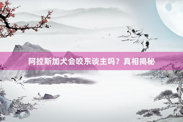 阿拉斯加犬会咬东谈主吗?真相揭秘