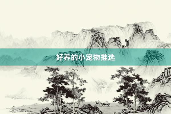 好养的小宠物推选