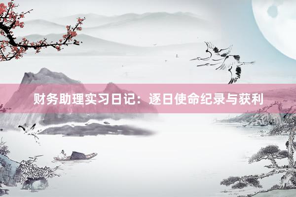 财务助理实习日记:逐日使命纪录与获利