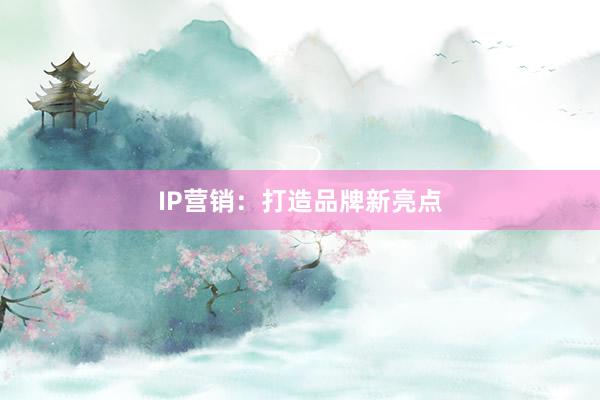 IP营销：打造品牌新亮点